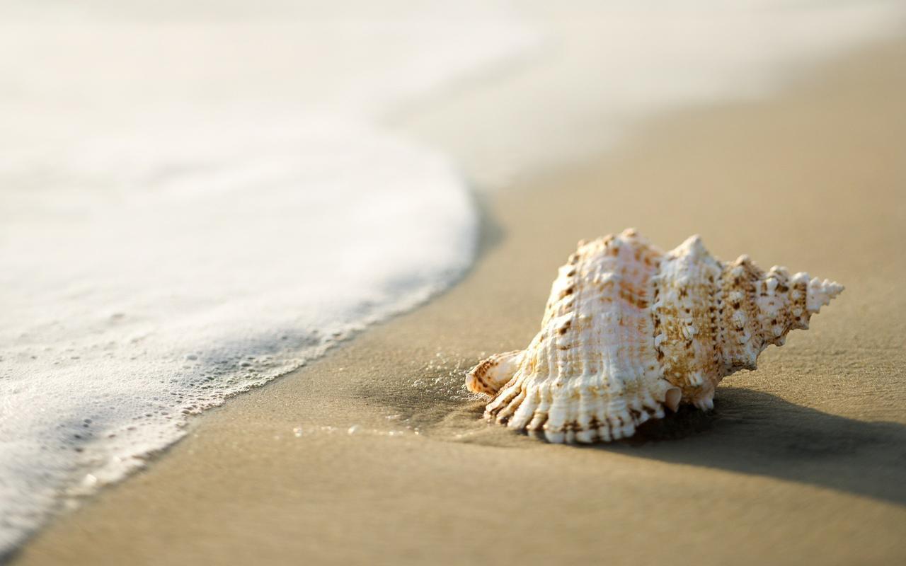 White Shell Beach House Kannur Exterior photo